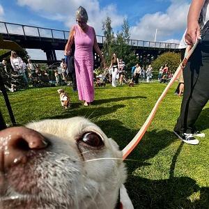 Dunston Staiths dog show