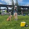 Dunston Staiths dog show