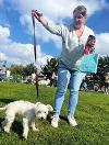 Dunston Staiths dog show
