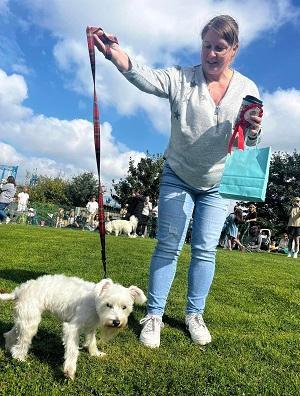 Dunston Staiths dog show