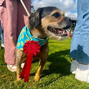 Mabel best in show