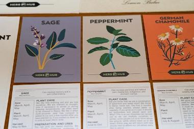 Herbs