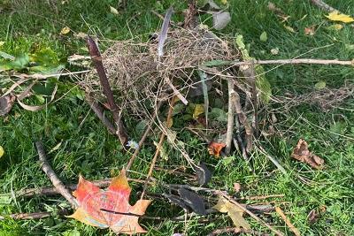 Fairy dwelling